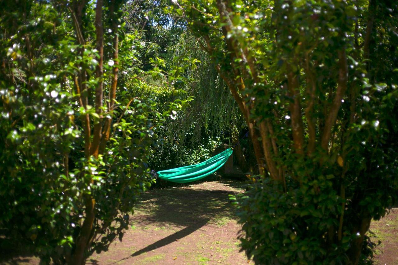 Villa Varzea - Garden Suite Ngoại thất bức ảnh